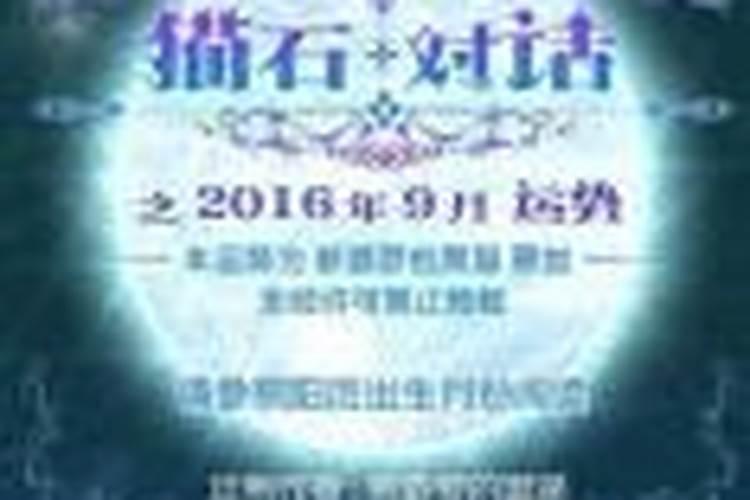 猫石对话之2026年运势