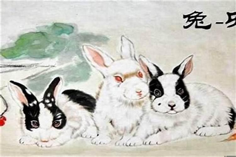 兔值太岁是什么意思？