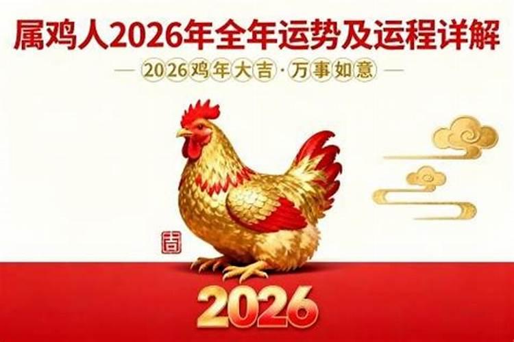 2026年属鸡的全年运势如何？
