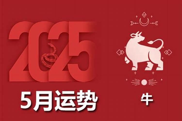 2026年属牛5月运程如何？