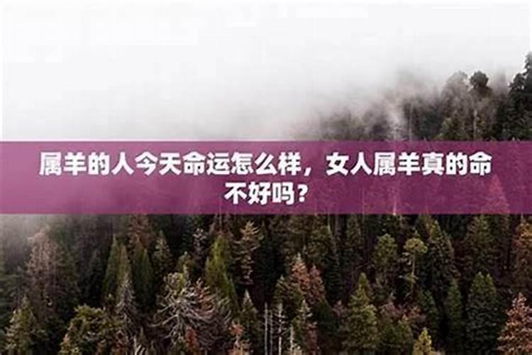女人命不好的表现