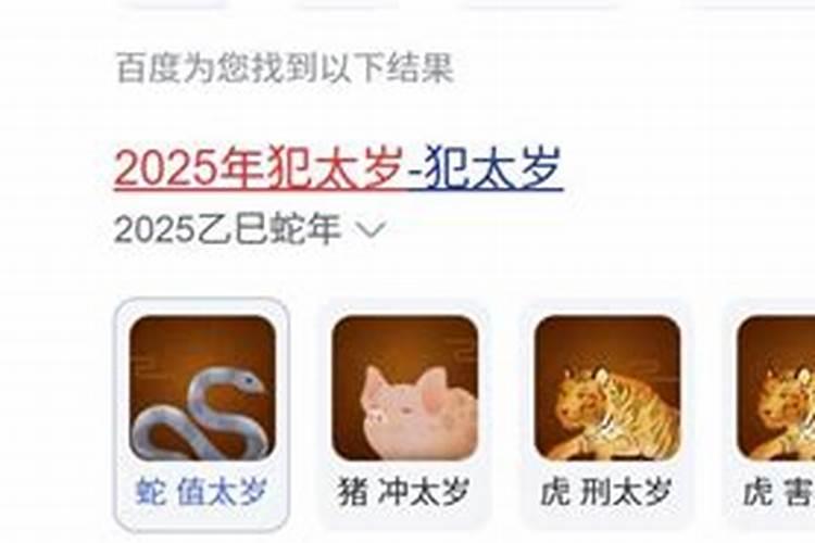 属猪的猴年犯太岁吗？