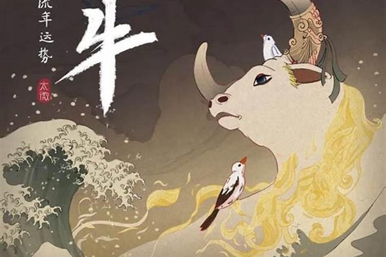 冬至出生的属牛人