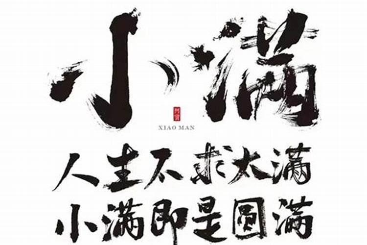 小年迎来花开预示什么？