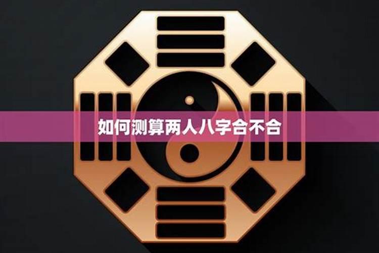 检测八字合不合