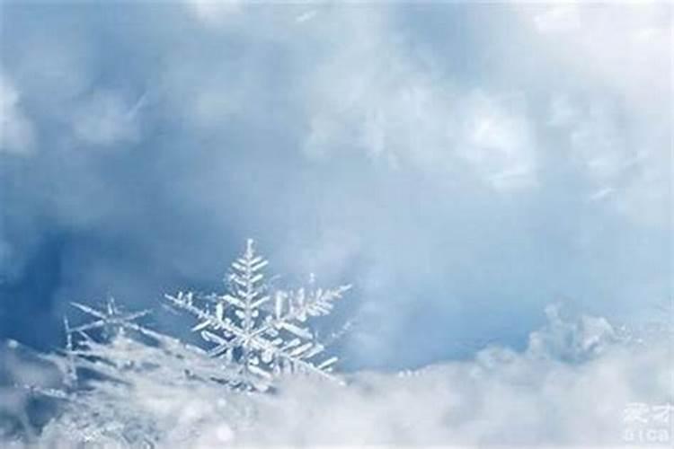 白天梦见下大雪是什么征兆？