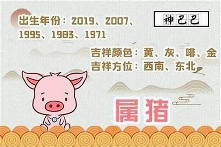 属猪的6月份运程如何？
