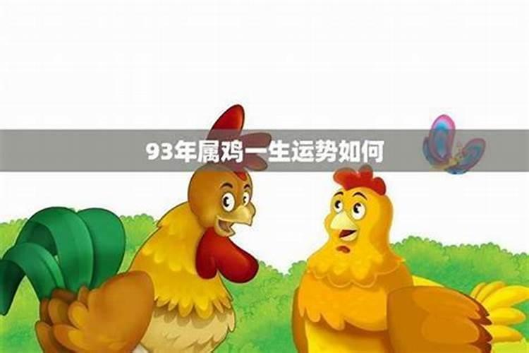 1993年出生的属鸡人运程
