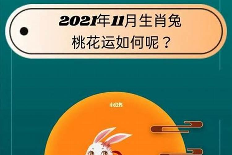 兔年今年运势怎么样2026年？