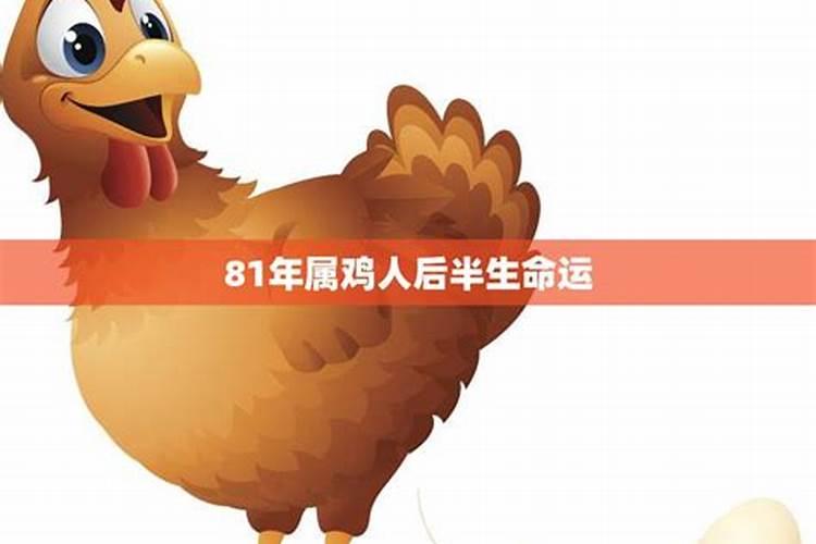 属鸡立秋过后转运