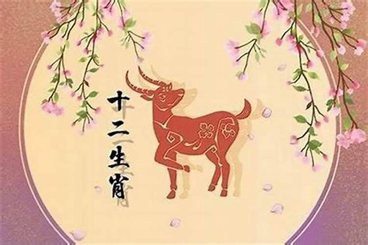 属马与属羊八字合吗？