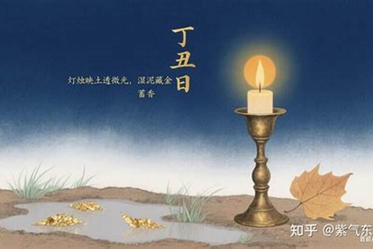 丁丑和己末日柱能合婚吗？