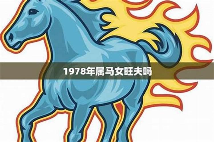 1978年生女马2026年运程
