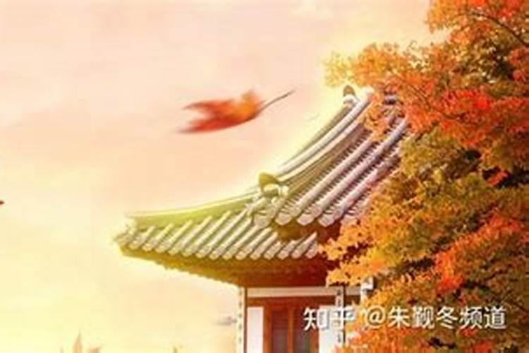 立秋当天出生