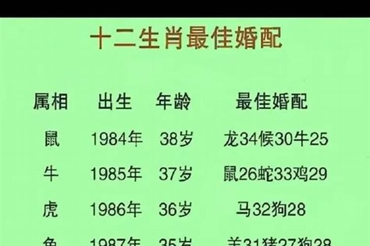 属牛的和属蛇的八字合不合