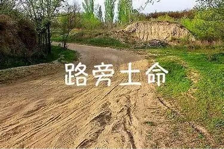 路旁土命缺什么？