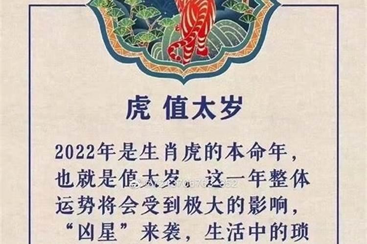 犯太岁本命年属虎禁忌