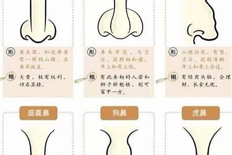 看鼻子算婚姻准吗？