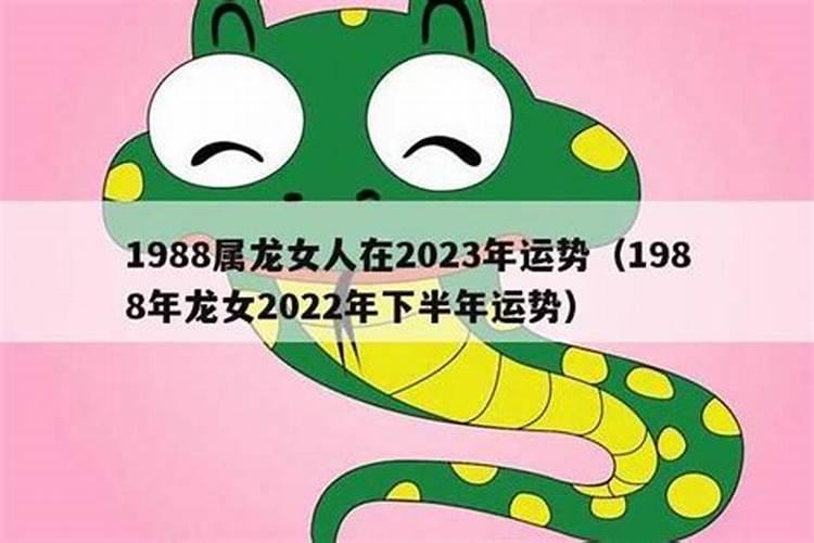 哪个月生肖龙女的运势好些？