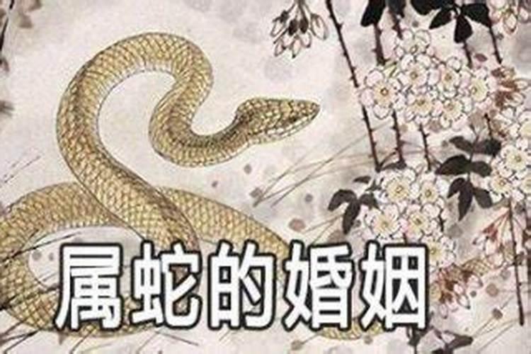 九月初九生肖蛇的命运