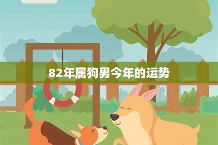 82属狗男2026年运势如何？