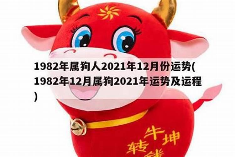 1982年7月运程如何？