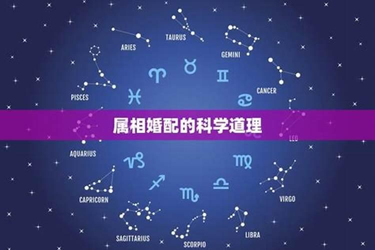 婚配属相有科学道理吗？