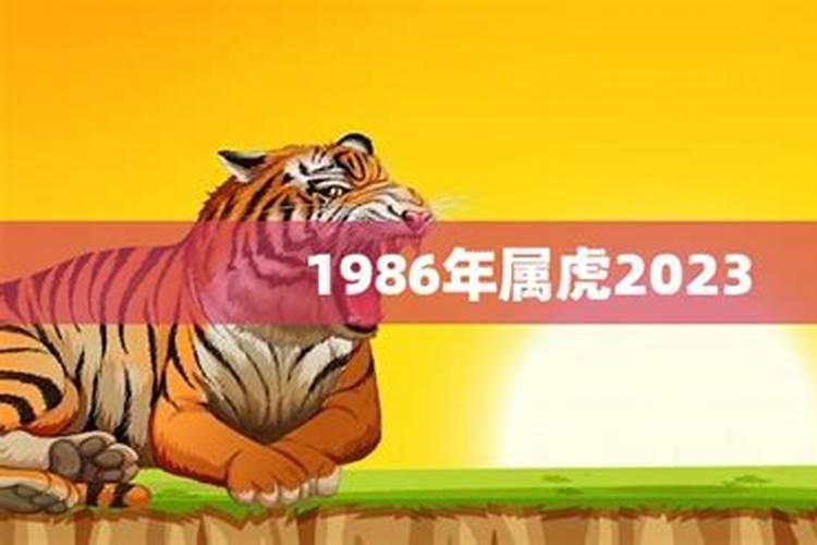 1986年本命年虎年要注意什么？