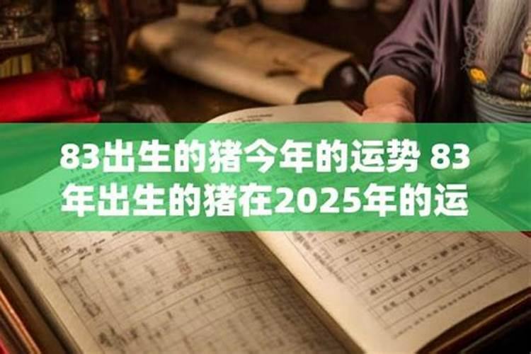83的猪在2026年的运程