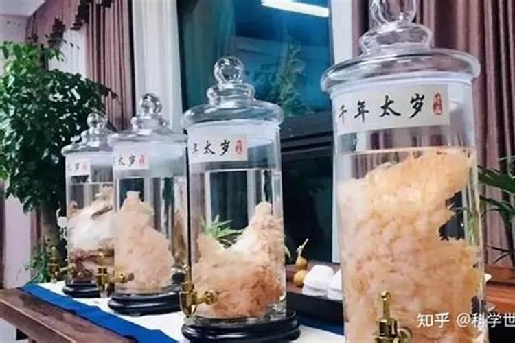 真的太岁是什么样？