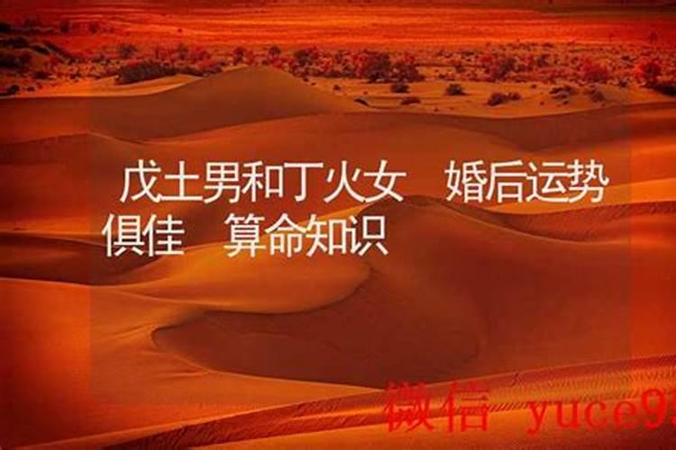 男土女火八字合吗？