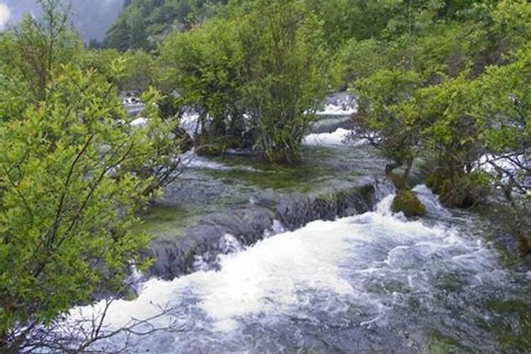 梦见水流满地我在特地水哗哗地流