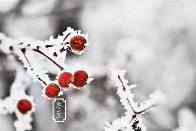 冬至节气注意什么？