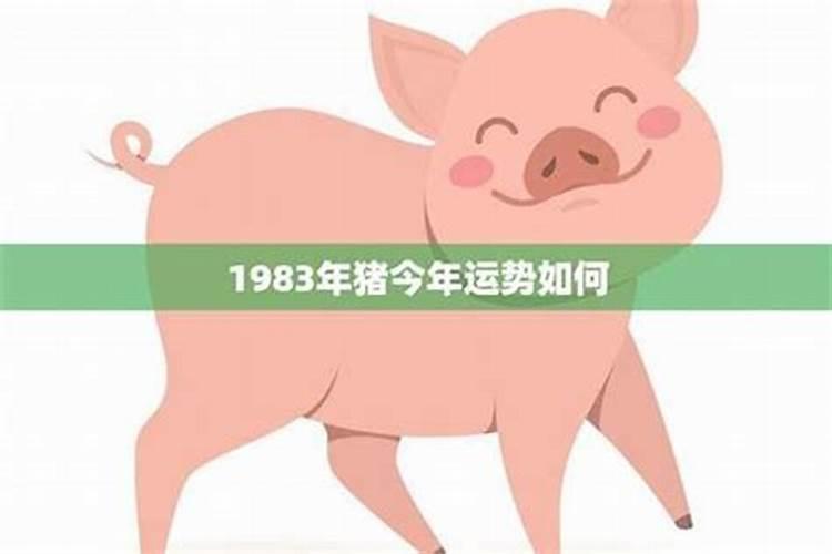 1983年出生的猪男2026年运势