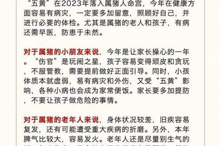 3月属猪运程如何？