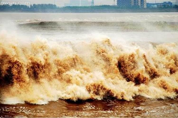 梦见水从天上冲下来