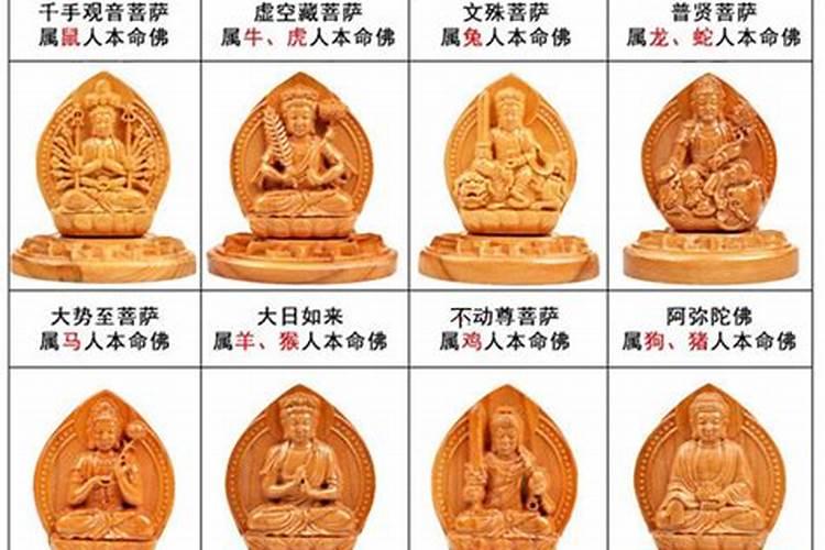 生肖猪的本命年守护神