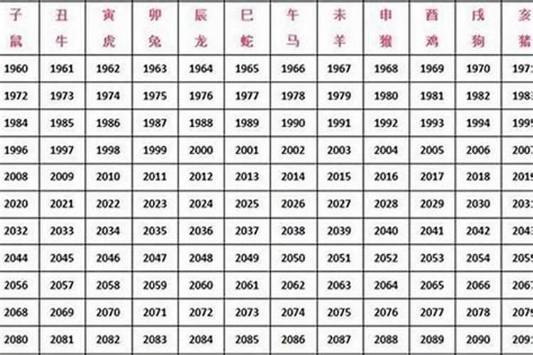 兔子和候子合婚吗？