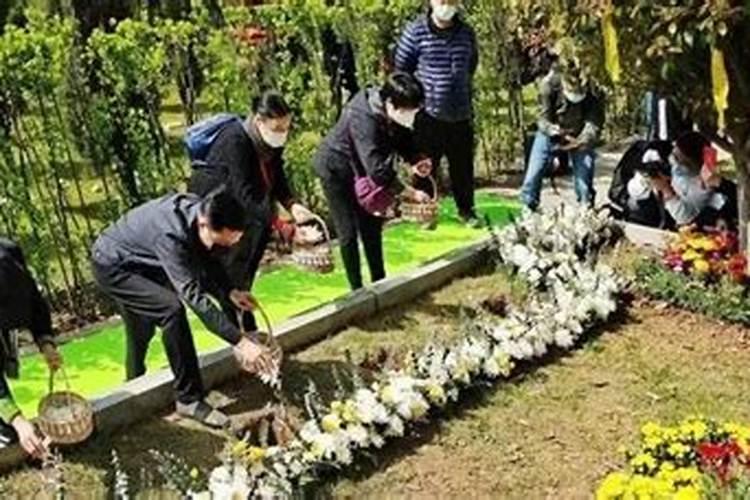 清明节扫坟2026