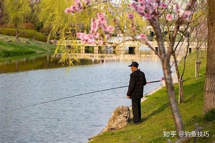 钓鱼对运势有什么影响？