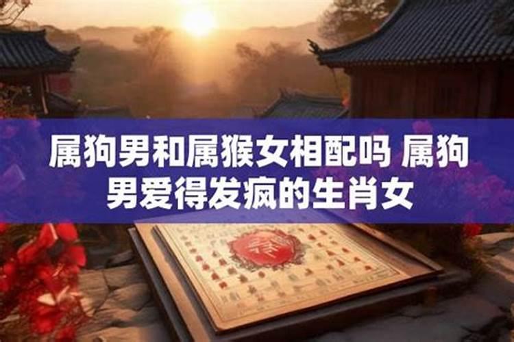 2026年腊月十九出生的人的运势