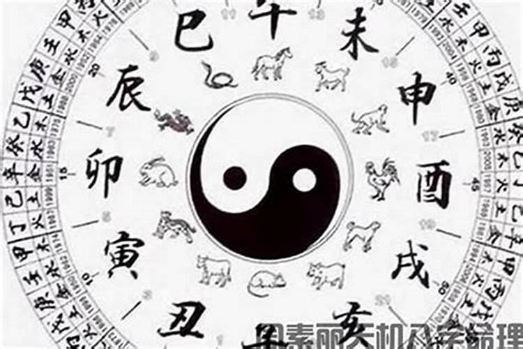 八字婚姻运势怎么看的准？