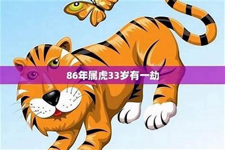 86虎2026本命年怎么样？