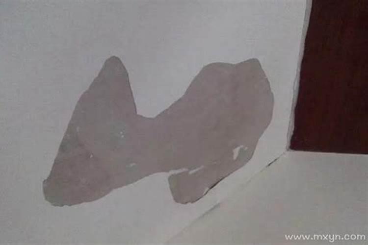 梦见刮墙皮是什么原因？