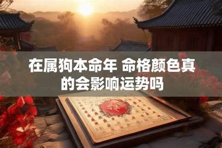 属狗本命年过后运势会怎么样？