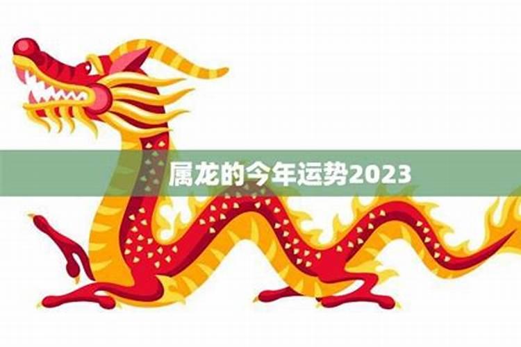 属龙今年运势