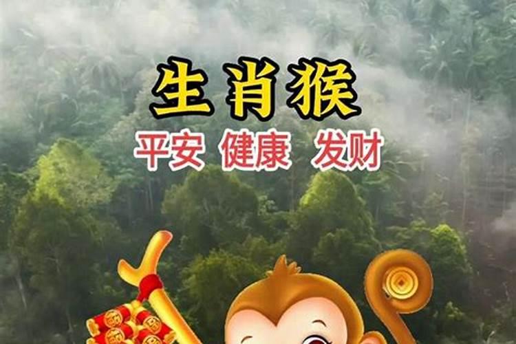属猴的8月份运程如何？