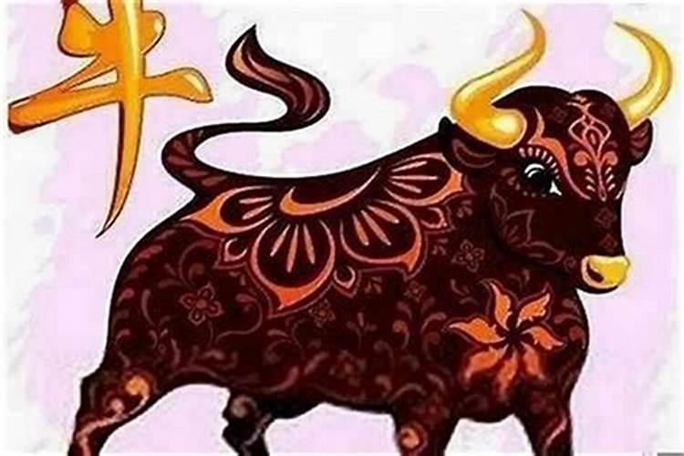 马人遇狗年运势如何？