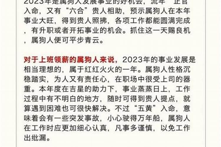 85年女2026年运势如何？