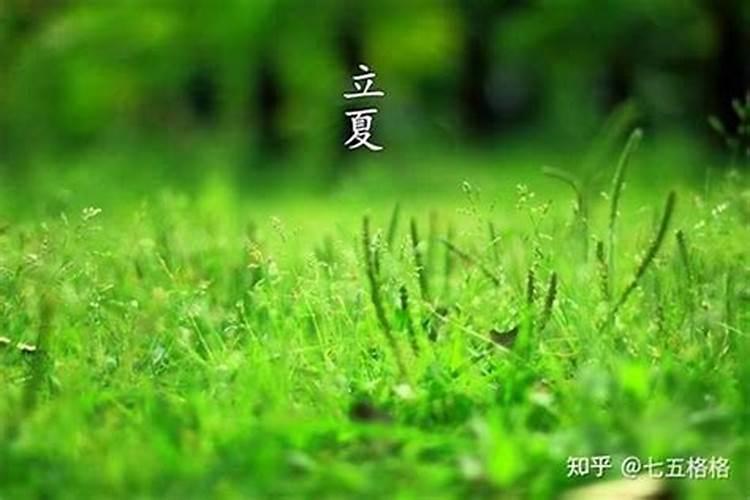 立夏的来历100个字左右